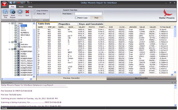 Stellar Phoenix Repair for InterBase screenshot 3