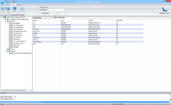 Stellar Phoenix Repair for SQLite screenshot 4