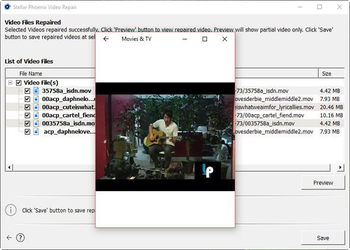 Stellar Phoenix Video Repair screenshot 3