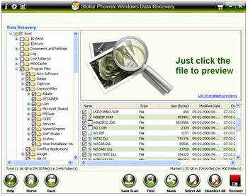 Stellar Phoenix Windows Data Recovery Professional screenshot