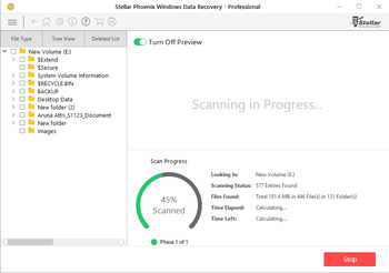 Stellar Phoenix Windows Data Recovery - Professional screenshot 3