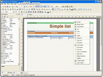 StimulReport.Net screenshot 2