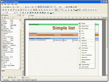 StimulReport.Net screenshot 3
