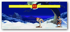 Street Fighter screenshot 2