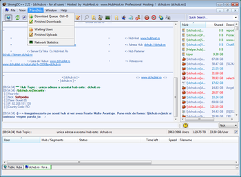 StrongDC++ screenshot 2