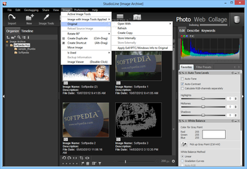 StudioLine Photo Pro screenshot 8