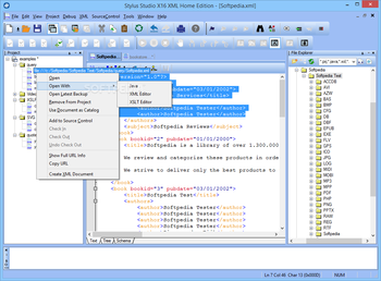 Stylus Studio X16 XML Home Edition screenshot 2