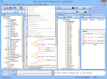 Stylus Studio X16 XML Professional Suite screenshot 11
