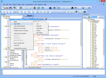 Stylus Studio X16 XML Professional Suite screenshot 2
