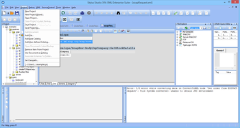 Stylus Studio XML Enterprise Edition screenshot 5