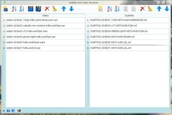 Subtitle And Video Renamer screenshot