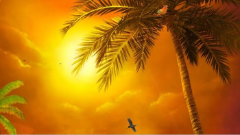 Sunset beach 3D screenshot 3