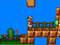 Super mario bros 3D screenshot 2