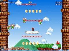 Super Mario Castle screenshot 2