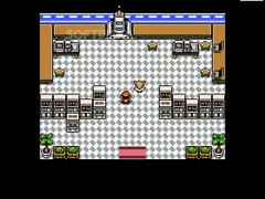 Super Pokemon Eevee Edition screenshot 11