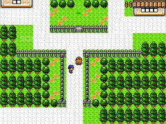 Super Pokemon Eevee Edition screenshot 8