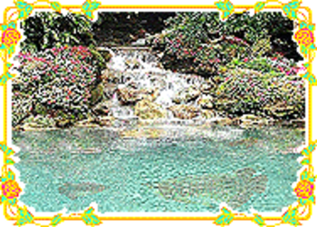 Super Red Arowana at Mini Waterfall screenshot 2