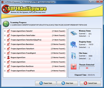 SuperAntiSpyware Professional screenshot 7