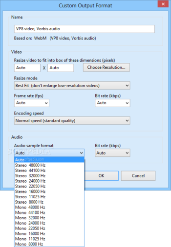 SuperSimple Video Converter screenshot 5