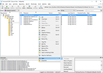 Surround SCM screenshot 2