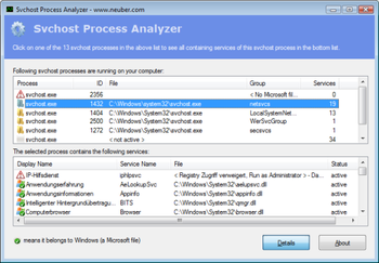 Svchost Process Analyzer screenshot