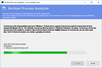 Svchost Process Analyzer screenshot