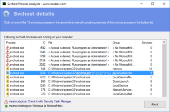 Svchost Process Analyzer screenshot 3