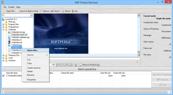 SWF Protect Remover screenshot