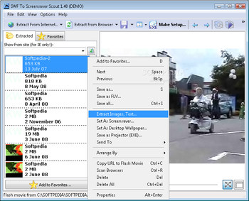 SWF To Screensaver Scout screenshot