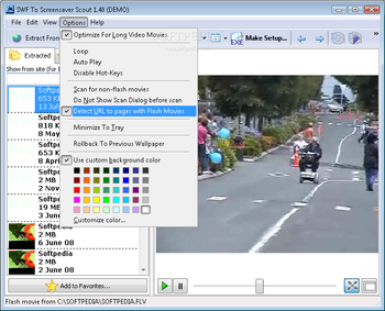SWF To Screensaver Scout screenshot 2