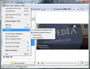 SWF To Video Scout screenshot 2