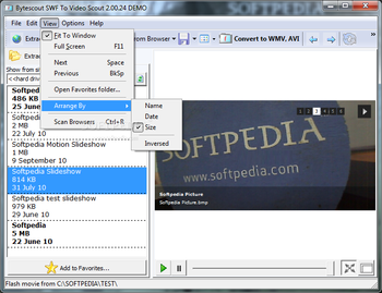 SWF To Video Scout screenshot 3