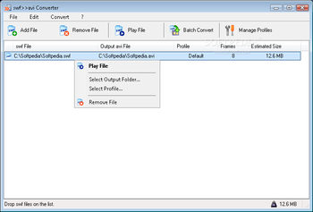 SWF>>AVI Converter screenshot