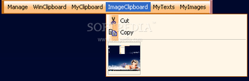 Swift Paste screenshot 6