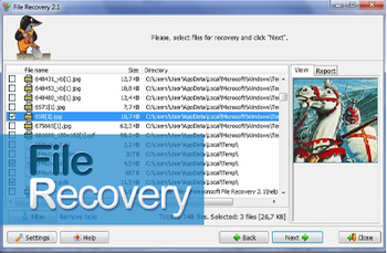 SWMole File Recovery screenshot