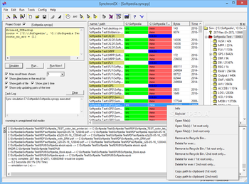 SynchronEX screenshot