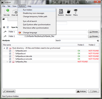 Synkron Portable screenshot 5