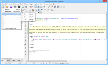 SynWrite screenshot 2