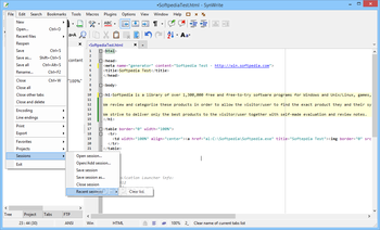 SynWrite screenshot 3