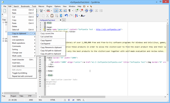 SynWrite screenshot 4