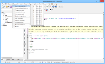 SynWrite screenshot 6