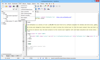 SynWrite screenshot 7