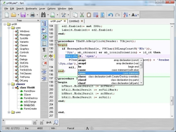 SynWrite screenshot