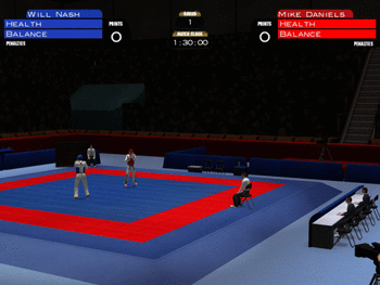 Tae Kwon Do World Champion screenshot