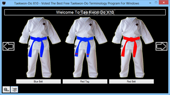 Taekwon-Do X10 screenshot