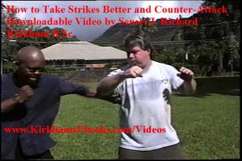 Taking Strikes Better 4 Self-Defense screenshot