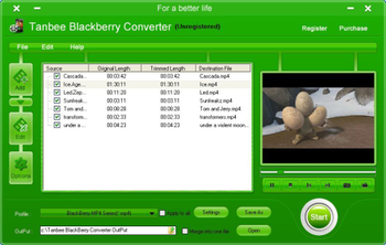 Tanbee BlackBerry Converter screenshot