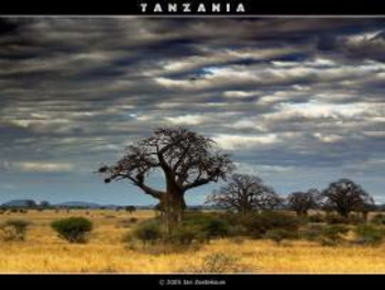 Tanzania Wallpaper screenshot