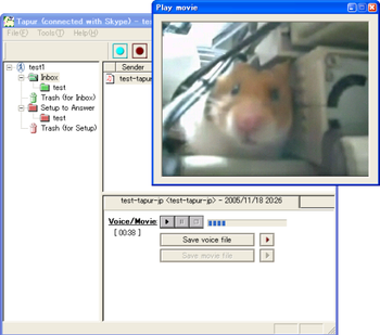 Tapur screenshot