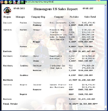 TCB Report Master screenshot